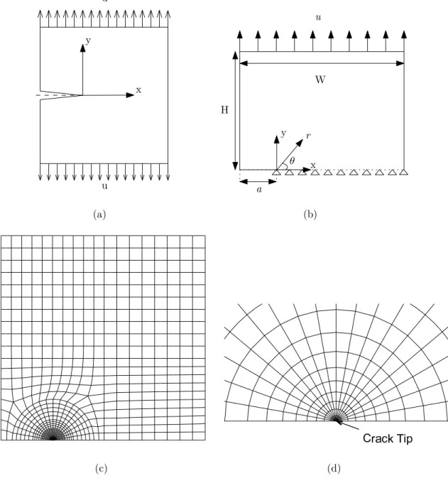 Figure 3.1. (a) Edge-cracked thin SMA plate, (b) Geometry of the 2-D edge-cracked specimen, (c) Mesh of 2-D edge-cracked specimen, (d) Mesh configuration close to the