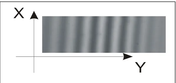 Figure 1.6 : Franges rectilignes observées sur la caméra CCD  4.  Mécanisme de formation des franges 