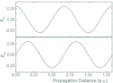 Figure 2.6: Accelerating and focusing segments for radial, E pr , and longitudinal, E pz , seg-