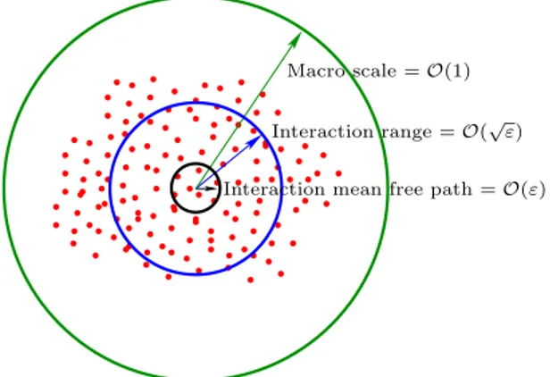 Figure 3: The different scales of the problem in the case (ii) (see (3.9)): the microscopic scale is the interaction mean free path and is O(ε)