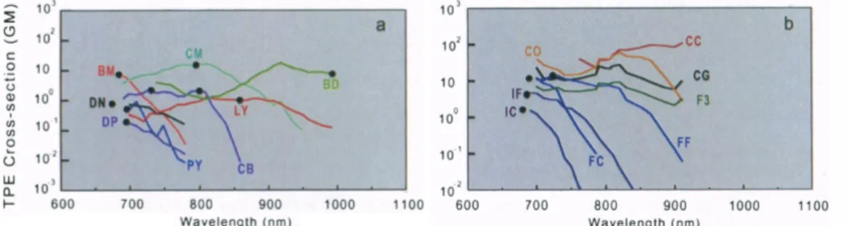 Fig. 1.8 – Quelques sources de contraste exog` enes en microscopie 2PEF.