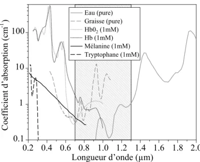Fig. 1.10 – Coefficient d’absorption lin´ eaire de diff´ erentes mol´ ecu- ecu-les biologiques.