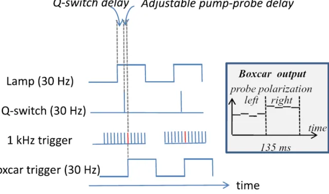 Figure 2.8  Triggering signals generated by the synchronization electronics. Two variable delays are generated: 