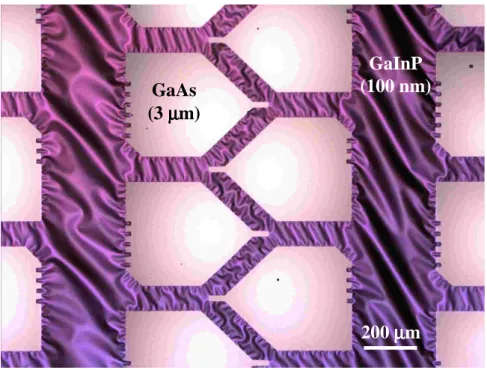 Fig. 3.13: Densely packed GaAs patches observed underneath the thin GaInP layer after back etching  of the GaAs substrate