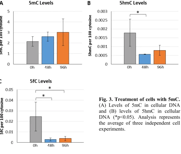 Fig. 3. Treatment of cells with 5mC.  (A)  Levels  of  5mC  in  cellular  DNA  and  (B)  levels  of  5hmC  in  cellular  DNA  (*p&lt;0.05)