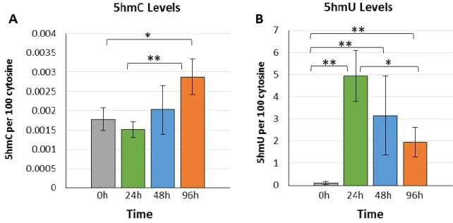 Fig. 4. Treatment of cells with 5hmC. (A) Levels of 5hmC in cellular DNA and (B) levels  of  5hmU  in  cellular  DNA