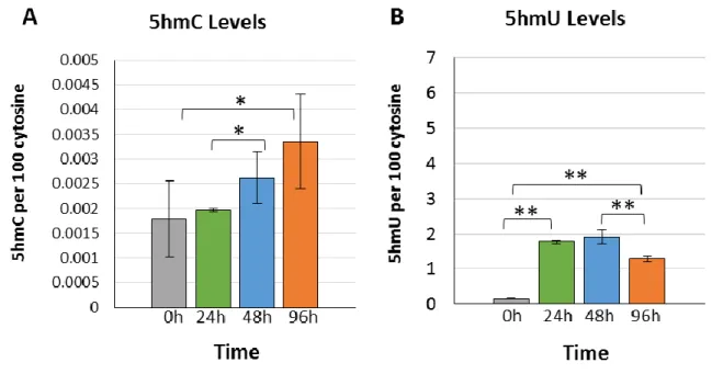 Fig. 6. Treatment of cells with 5hmC in the presence of dTHU. (A) Levels of 5hmC in  cellular  DNA  and  (B)  levels  of  5hmU  in  cellular  DNA