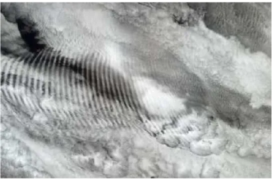 Fig. 1.3 – Ondes de gravit´e visibles sur une couche de stratocumulus marins sur l’Oc´ean Indien le 29 octobre 2003 (Source : NASA/GSFC/LaRC/JPL, MISR Team).