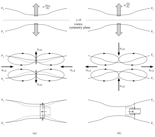 Fig. 3.3 – Schematic diagrams of the secondary circulation during the vortex decay for (a) Sc >> 1 and (b) Sc << 1