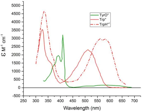 Figure 3.5: Spectra of known intermediates of tyrosine and tryptophan. The tyrosine intermediate has been shown in green