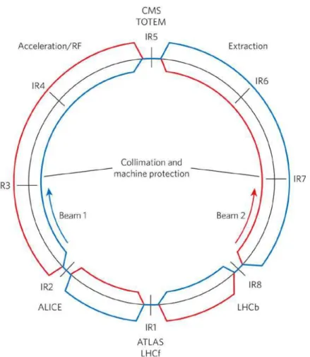Figure 3.3: Schematic layout of the LHC where Beam 1 is accelerated clockwise and Beam 2 anticlock-