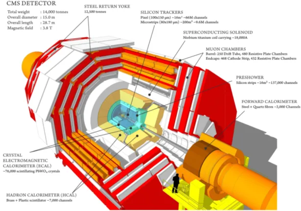 Figure 4.1: A perspective view of the CMS detector with major subsystems indicated.