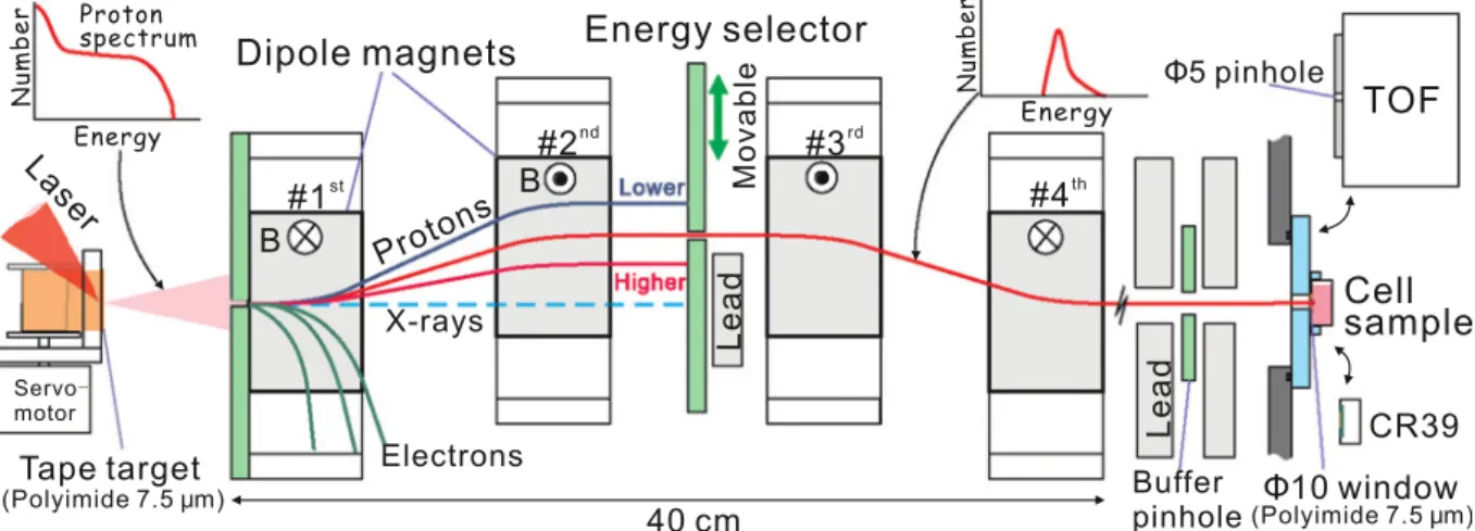 Fig. 1. Experimental setup of the laser–driven quasi–monoenergetic beam line. A. Yogo et al