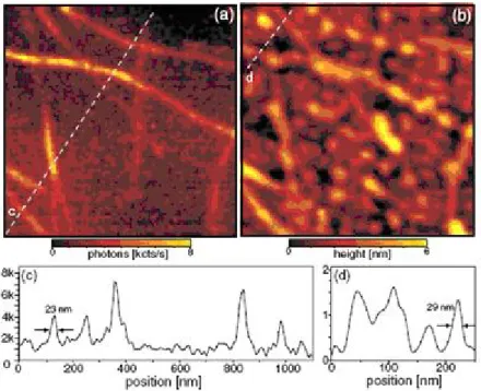 Figure 1-17 :  Cartographie du champ proche Raman sur des SWCNT, la 