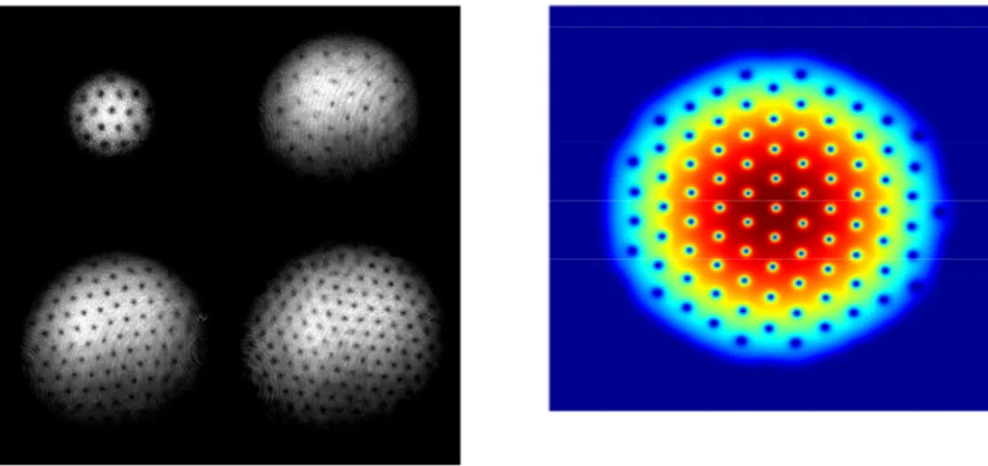 Figure 1. Left: Experimental pictures of fast rotating Bose-