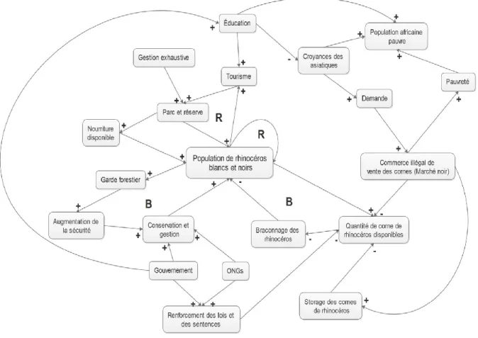 Figure 2.2 Exemple de système complexe : Système de gestion du braconnage des rhinocéros en        Afrique (J