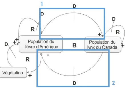 Figure 2.6  Exemple de liens de causalité (J. Hamel, notes de cours ENVB 415, automne 2014) 
