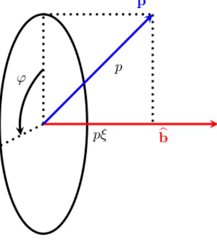 Figure 2.2 – Vecteur impulsion p d´ ecompos´ e sur le vecteur unitaire magn´ etique b b