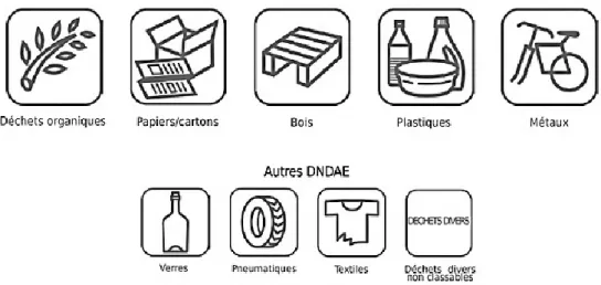 Figure  2.1  Déchets  non  dangereux  générés  par  des  activités  économiques  (tiré  de :  CCI-NC du Morbihan, s