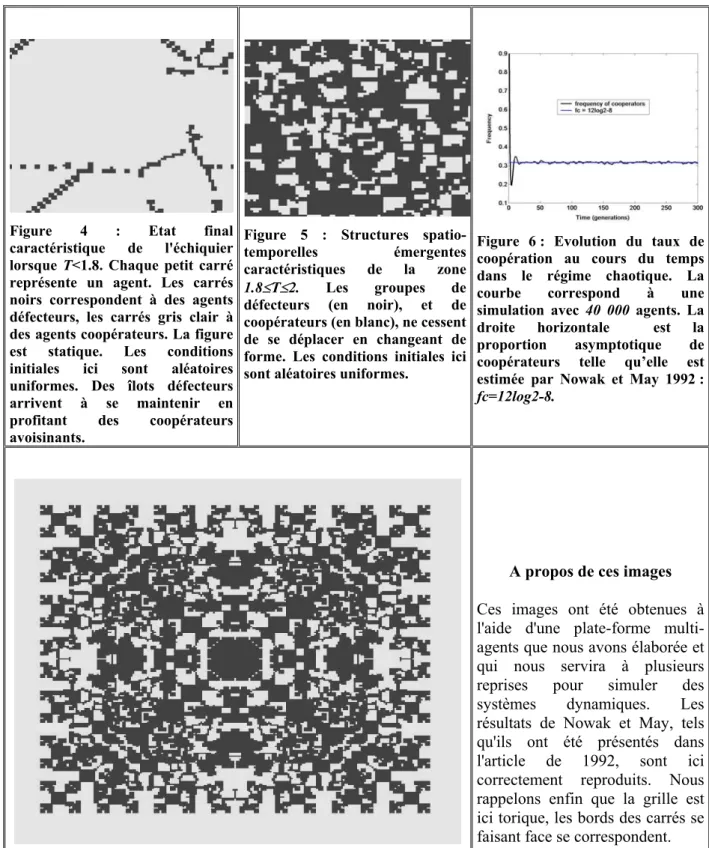 Figure 4 : Etat final  caractéristique de l'échiquier  lorsque  T<1.8. Chaque petit carré  représente un agent
