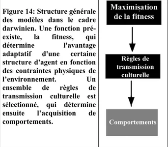 Figure 14: Structure générale  des modèles dans le cadre  darwinien. Une fonction  pré-existe, la fitness, qui  détermine l'avantage  adaptatif d'une certaine  structure d'agent en fonction  des contraintes physiques de 