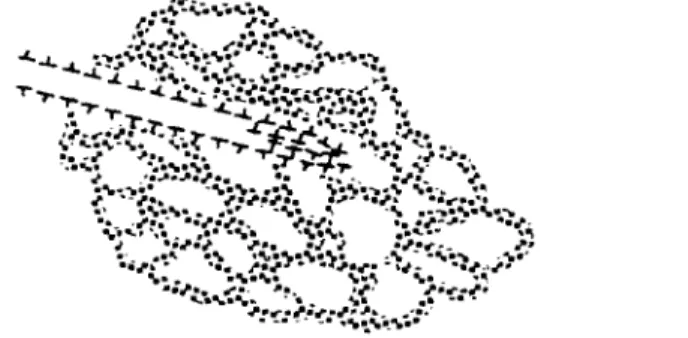 Fig. 1: Représentation d'une micro-bande (d'après [Nés, Com. 1985]) 