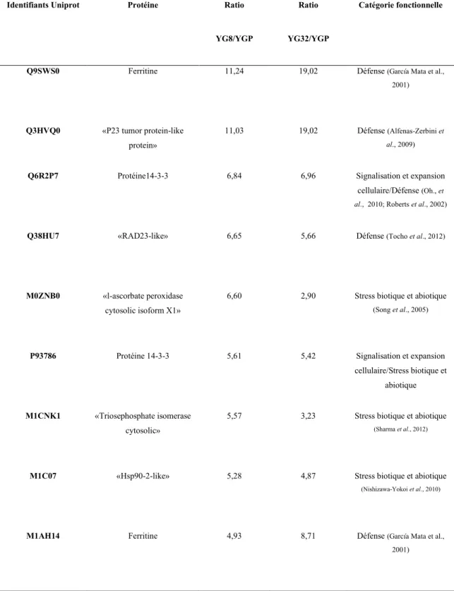 Tableau 5. Protéines dont l'abondance était augmentée d’un facteur ≥ 2 à la fois chez  les somaclones YG8 et YG32 par rapport au cultivar parent (YGP)