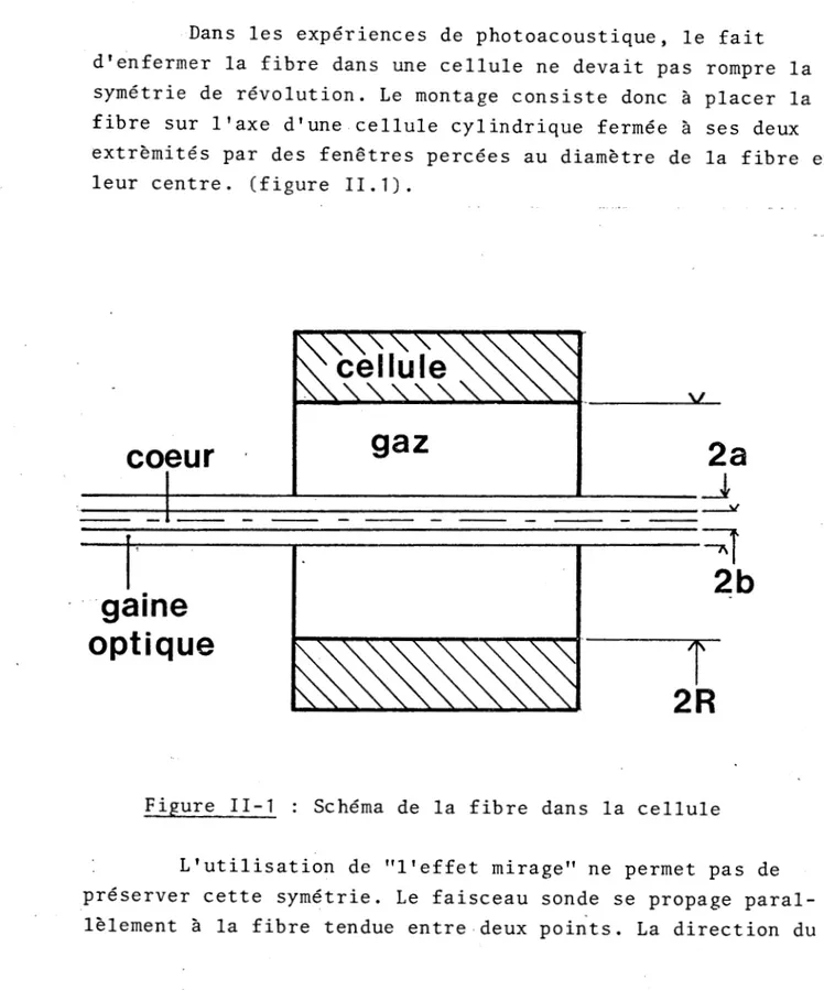 Figure  11-1  :  Schéma  de  la  fibre  dans  la  cellule 