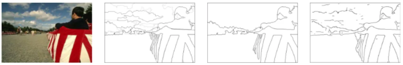 Figure 4. From left to right : Original image, UCM, thresholded UCM and thresholded local