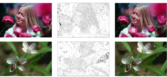 Figure 2. Form left to right: Original images, sites and extrema mosaics.