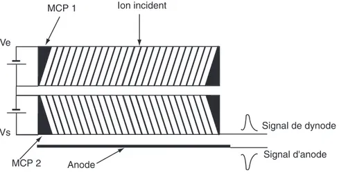 Fig. 1.15 – Le montage en chevron. L’angle entre les canaux des deux galettes permet de s’affranchir des retours d’ions issus de la deuxi` eme galette.