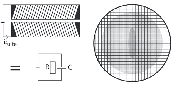 Fig. 1.19 – Temps mort du d´ etecteur : origine et lien avec le flux.