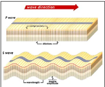 Figure 2. 2 Mouvements des particules causés par les ondes de compression (P) et les ondes de  cisaillement (S) [Soliman, 2010]