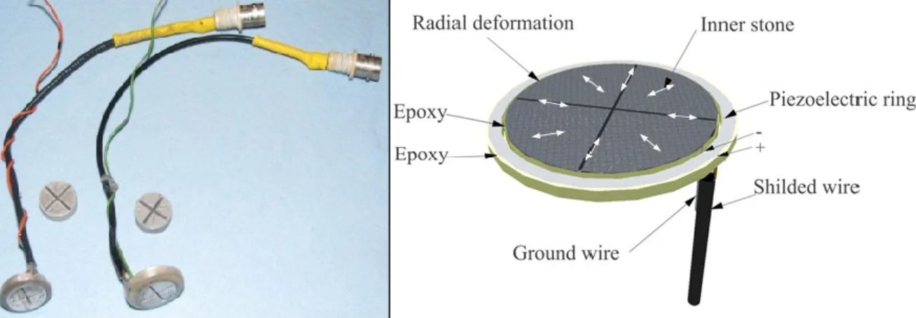 Figure 2. 6 Capteurs à anneaux piézoélectriques.  Time (msec) -101Amp. Electric input x(t)