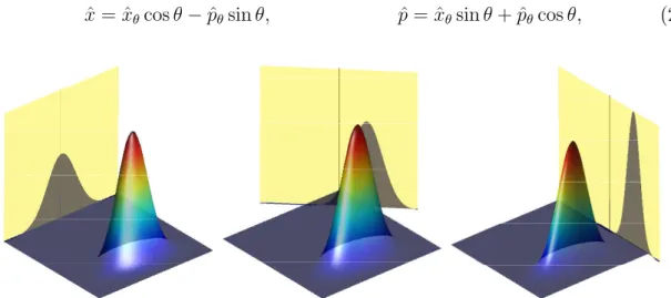 Figure 2.3: Projections à 0 ◦ , 45 ◦ et 90 ◦ de la fonction de Wigner d'un état cohérent comprimé