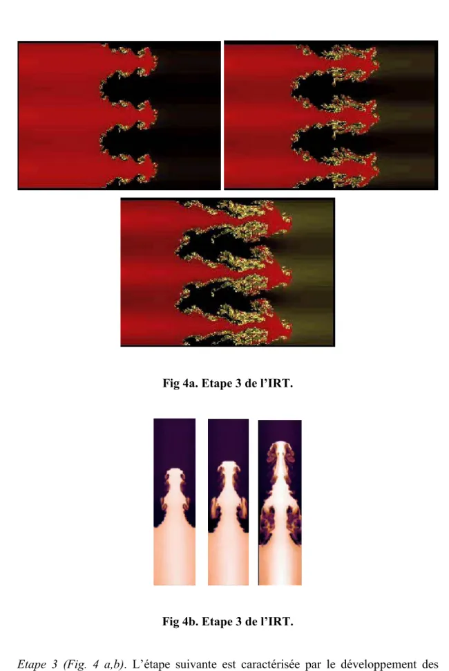 Fig 4a. Etape 3 de l’IRT. 