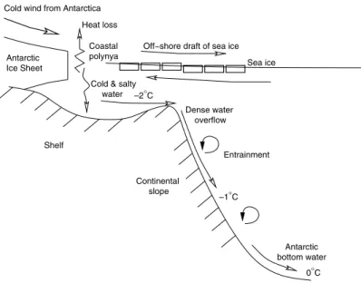 Fig. 5.6 Formation of AABW (redrawn from Gordon, 2002).