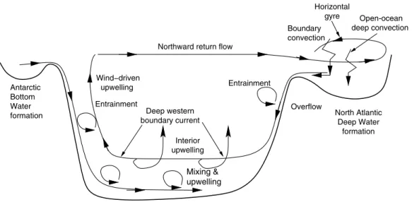 Fig. 5.3 Sketch of bottom/deep water formation and thermohaline circulation in the Atlantic Ocean.