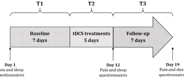 Figure 1. The study lasted 19 days and was divided into 3 phases: T1 (baseline), T2 (tDCS  treatments) and T3 (follow-up)