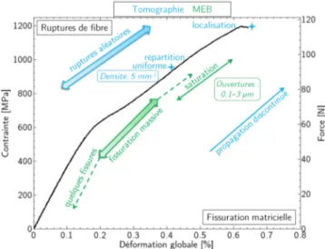 Figure I.12 – Courbe contrainte-déformation pour un minicomposite 1D en traction (figure tirée de [Chateau, 2011])