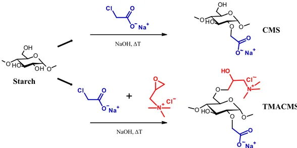 Figure 1. Schematic presentation of the synthesis of the CarboxyMethylStarch (CMS) and TriMethylAmineCarboxy