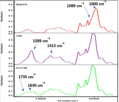 Figure 3. Fourier-transform infrared (FTIR) spectra of native starch (Hylon VII) and of the CMS  and TMACMS derivatives