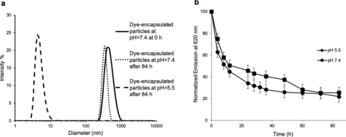 Figure 4. (a) DLS data for the Nile red-encapsulated P1 in water at room temperature as well as those incubated at 37 °C 