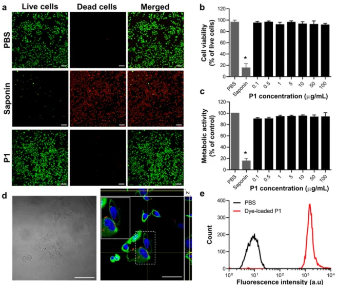 Figure 5. (a–c) CHO-K1 cells were treated for 24 h with increasing concentrations of P1 and cell viability was measured 