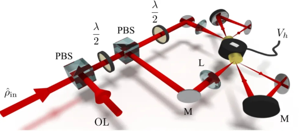 Figure 2.13 – Montage optique de la détection homodyne : l’état à mesurer ˆ ρ in , de polarisation