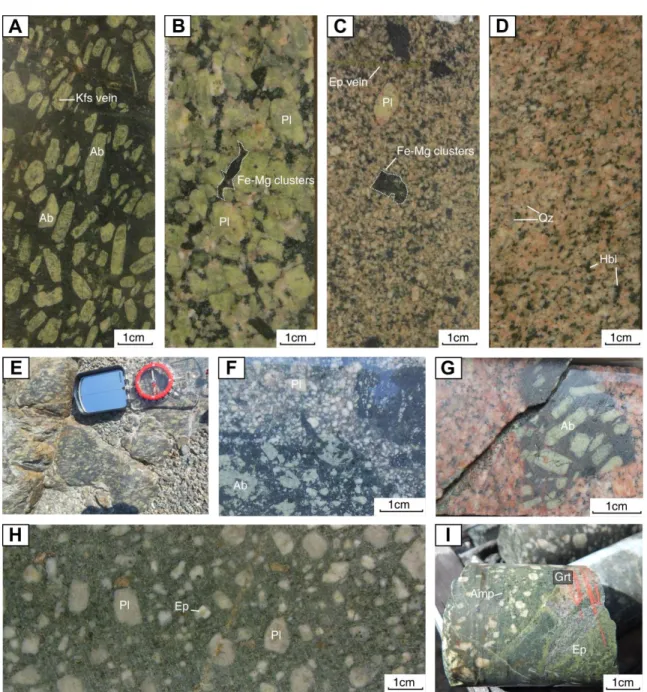 Figure  1.4  Hand  specimen  photographs  of  samples  of  East-Sullivan  porphyry  intrusions: (A) Early porphyry (EP) facies with altered megaphenocrysts of albite in a  microcrystalline  matrix,  crosscut  by  K-feldspar  veins  (drill  hole  AMCD-28); 