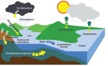 Figure 1.1  Le cycle hydrologique (tiré de : Environnement et Changement climatique Canada, 2013a)  