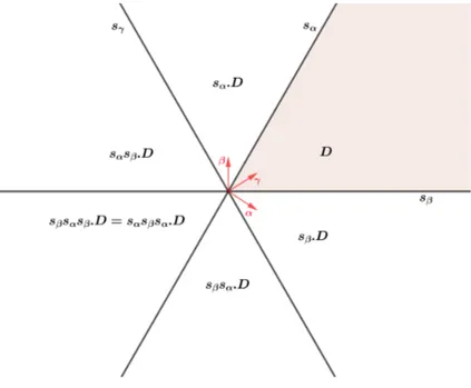 Figure 0.1 Chambres de W (A 2 ), racines positives de A 2 et réflexions associées.