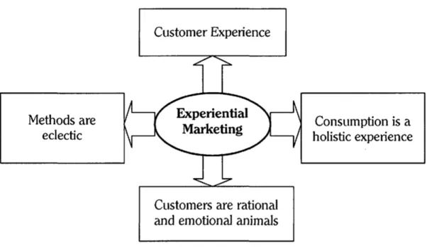 Figure 2.2 Dimensions du marketing d'expérience (Schmitt, 1999). 