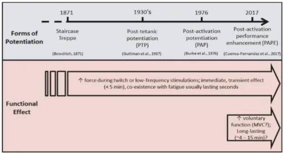 Figure 1.2   L’historique des formes de potentialisation tiré de l’article (Cuenca-Fernández et al., 2017)